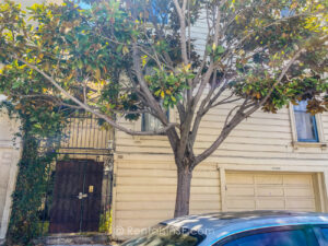 Photo of 940 Shotwell St.  San Francisco CA-0